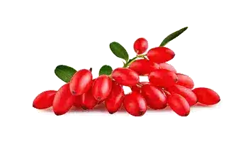 Rebersa® (ekstrakt berberyny)