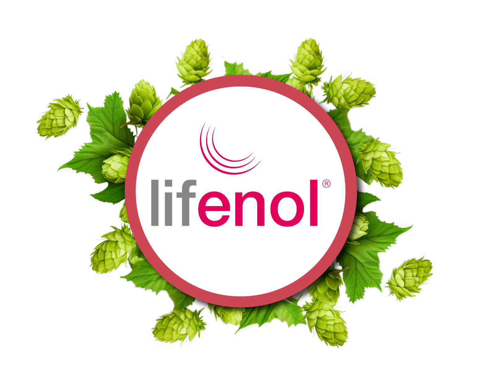 Obraz opcji produktu